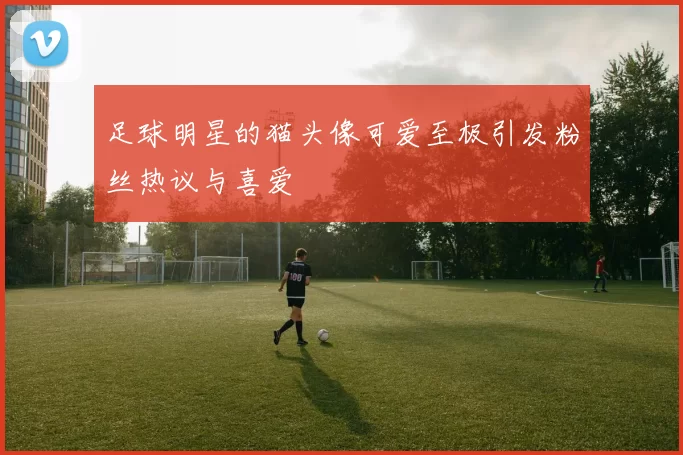足球明星的猫头像可爱至极引发粉丝热议与喜爱