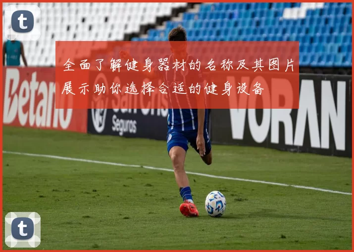 全面了解健身器材的名称及其图片展示助你选择合适的健身设备